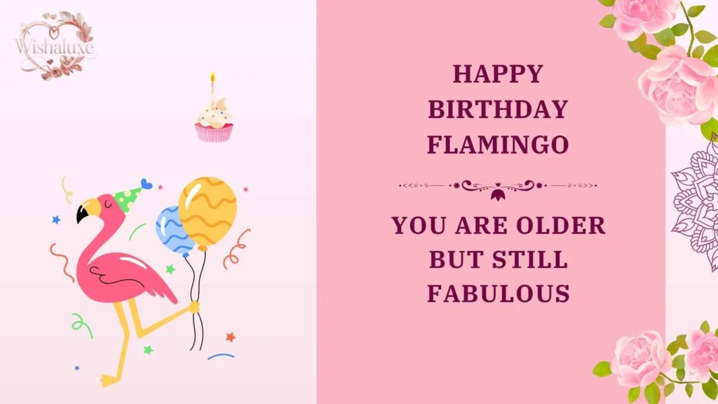 happy birthday flamingo
