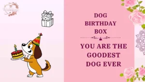 dog birthday box