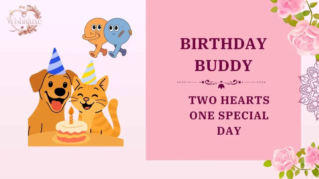 birthday buddy