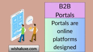 B2B Portals