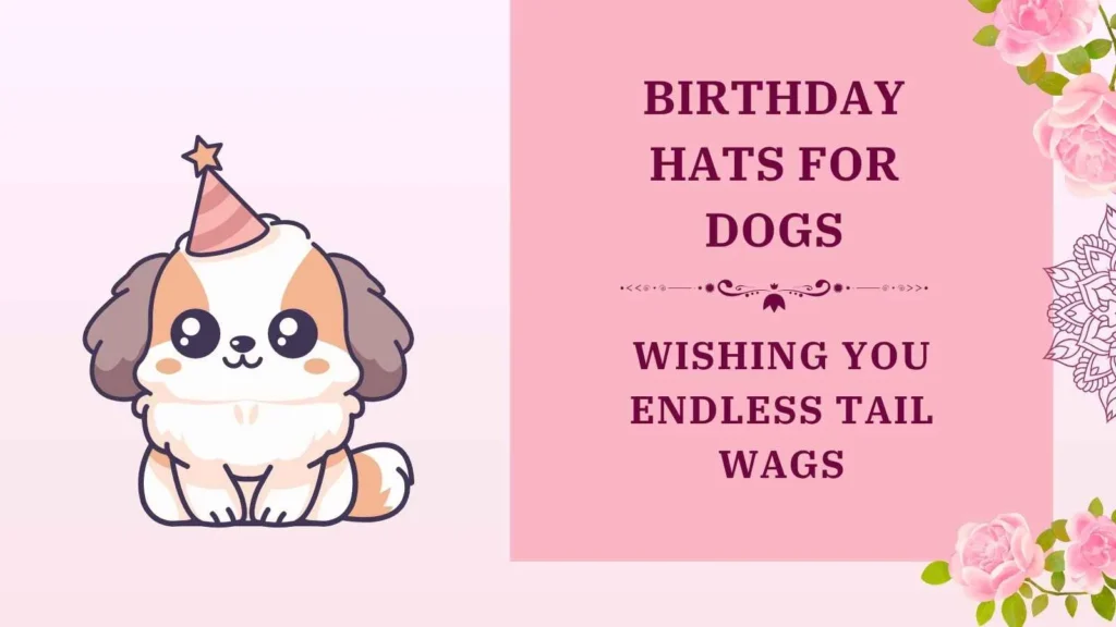 birthday hats for dogs