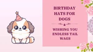 birthday hats for dogs
