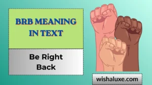 brb meaning in text