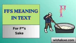 ffs meaning in text