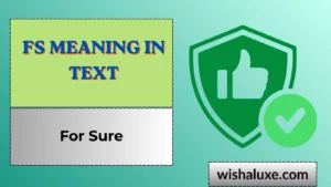 fs meaning in text