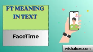 ft meaning in text