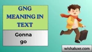 gng meaning in text