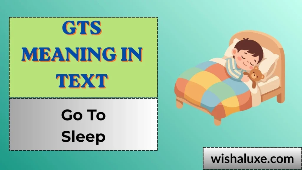 gts meaning in text