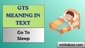 gts meaning in text