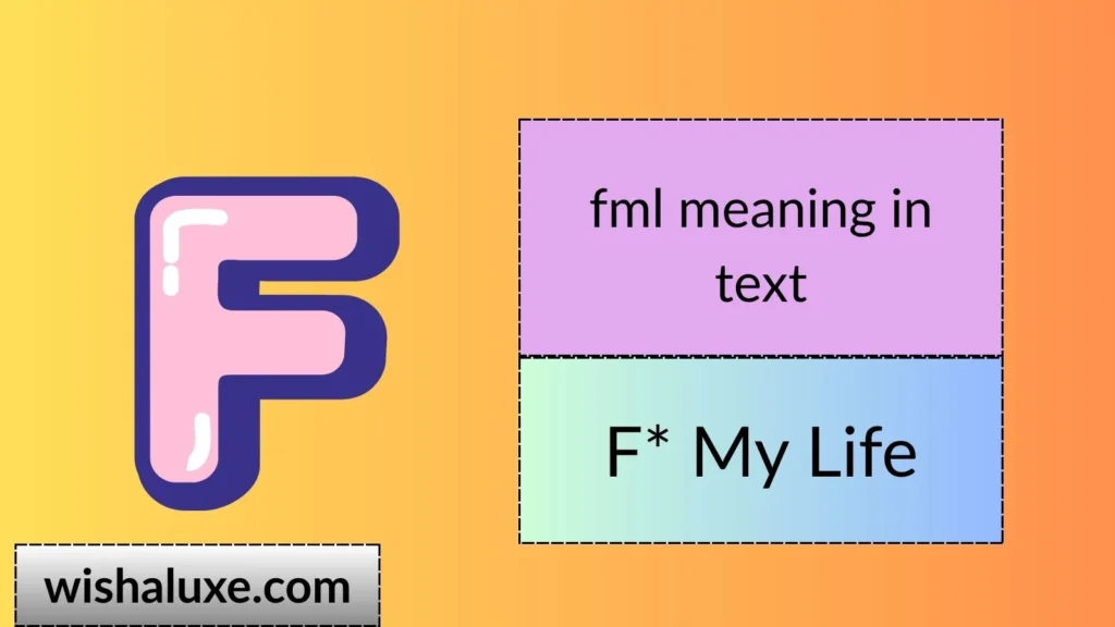 fml meaning in text