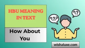 hbu meaning in text