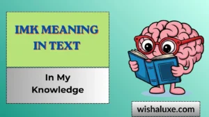 imk meaning in text