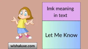 lmk meaning in text