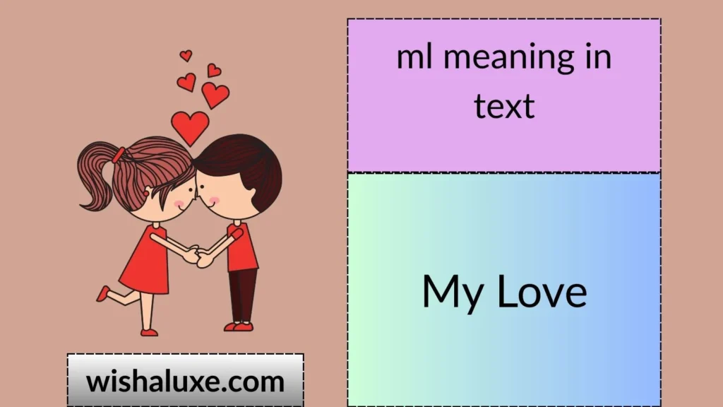 ml meaning in text