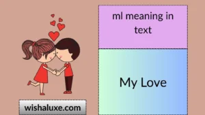 ml meaning in text