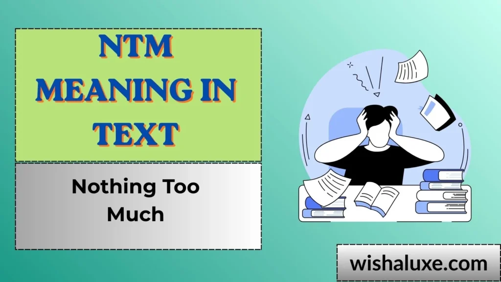 ntm meaning in text