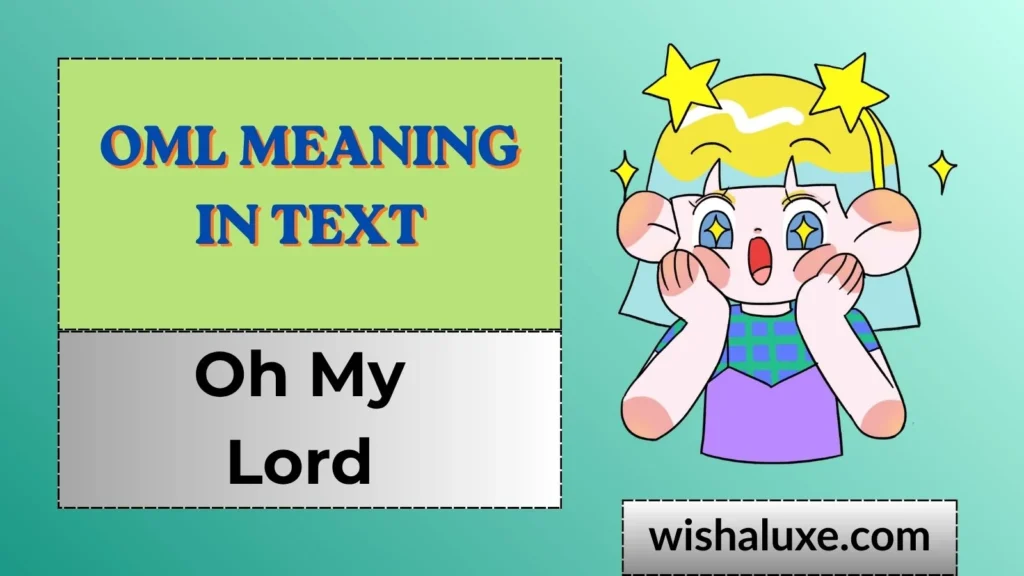 oml meaning in text