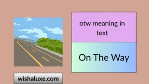 otw meaning in text