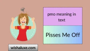 pmo meaning in text