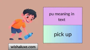 pu meaning in text