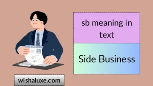 sb meaning in text
