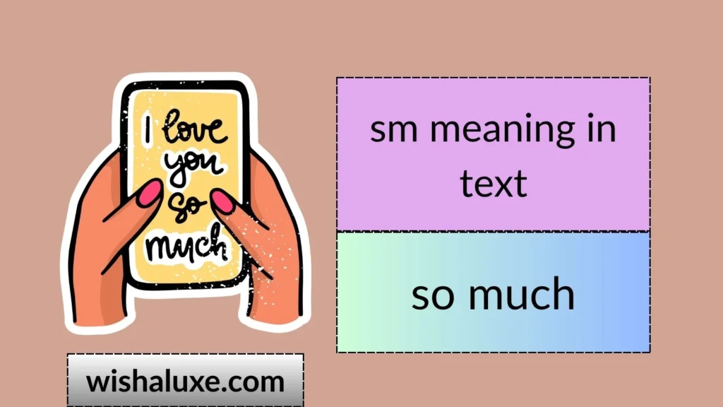 sm meaning in text