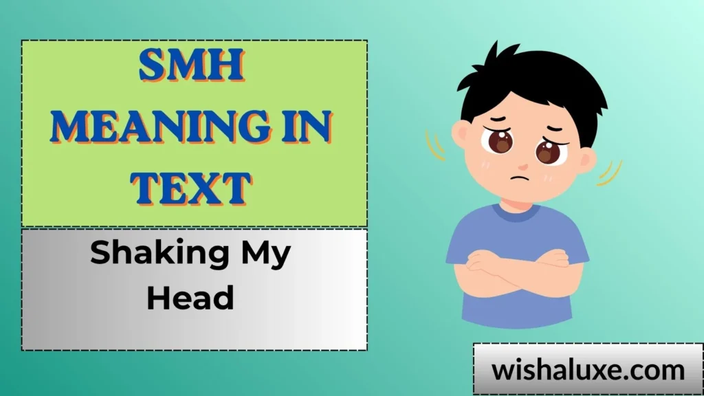 smh meaning in text