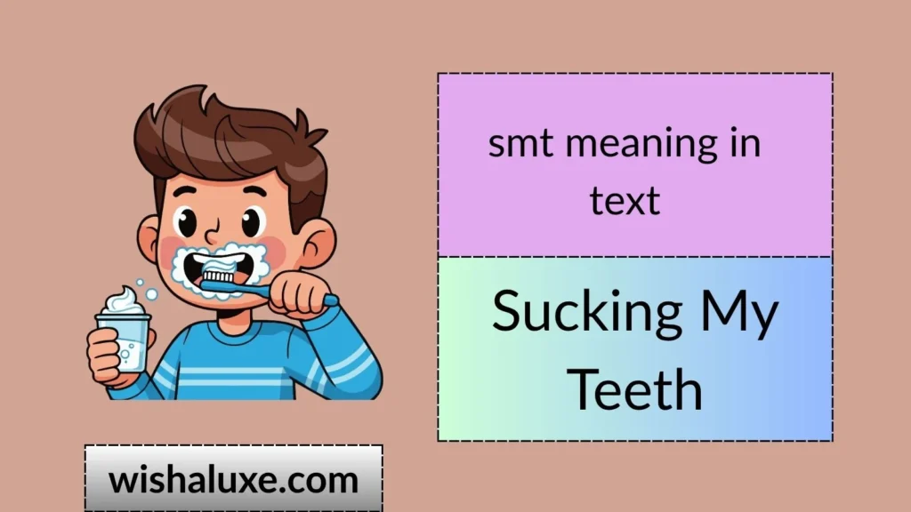 smt meaning in text