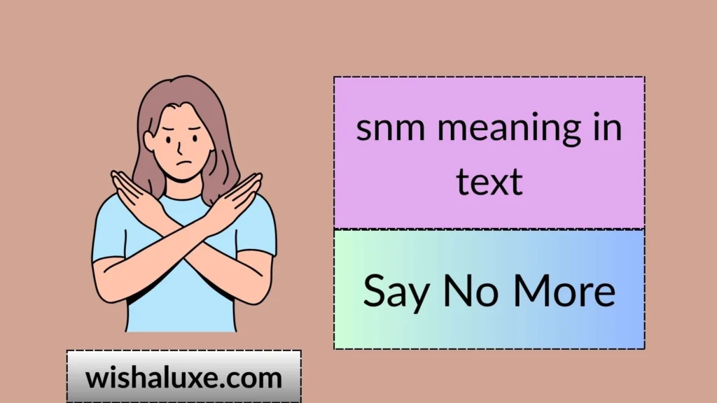 snm meaning in text