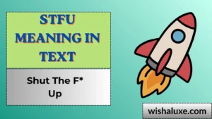 stfu meaning in text