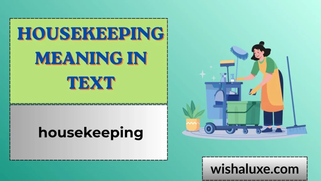 Housekeeping Meaning in Text