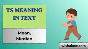 ts meaning in text