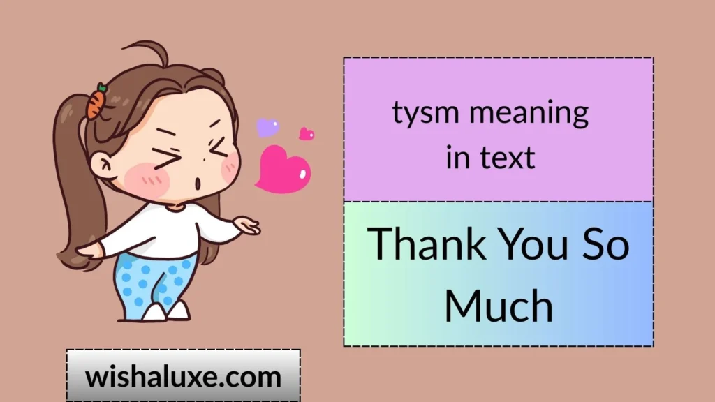 tysm meaning in text