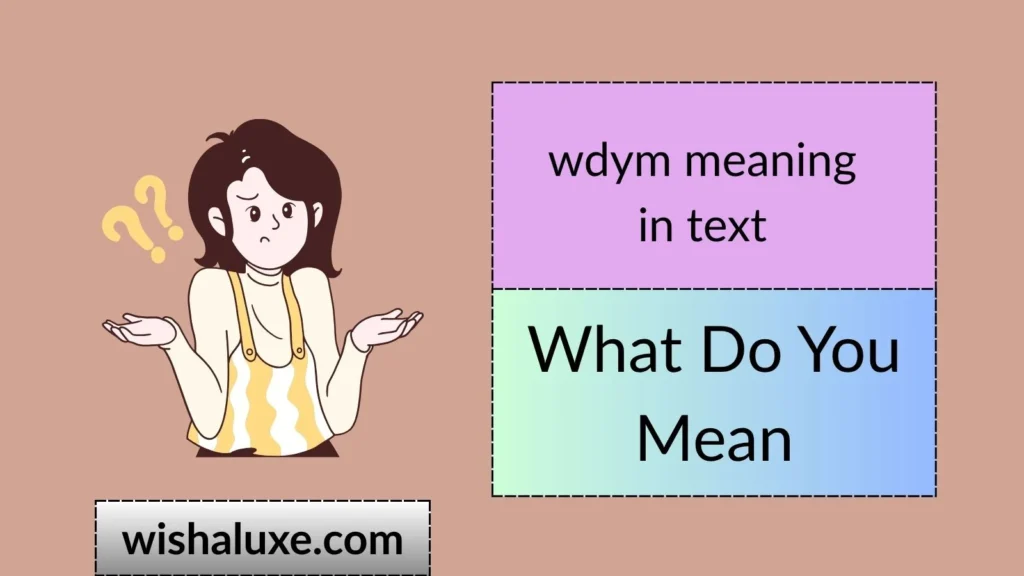 wdym meaning in text