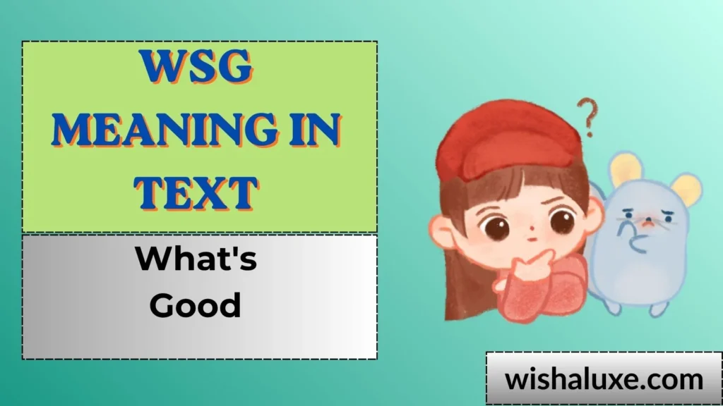 wsg meaning in text