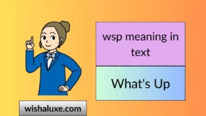 wsp meaning in text