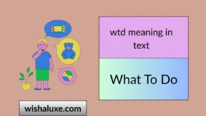 wtd meaning in text