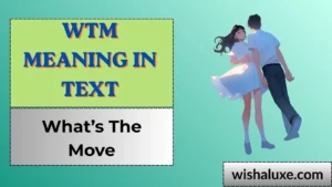 wtm meaning in text