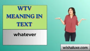 wtv meaning in text