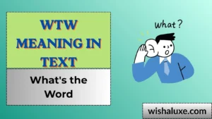 wtw meaning in text