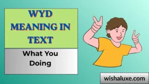 wyd meaning in text