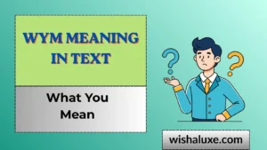 wym meaning in text