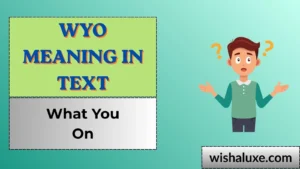 wyo meaning in text